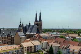 DCG Halle gGmbH International Institute