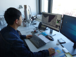 DCG Halle gGmbH International Institute