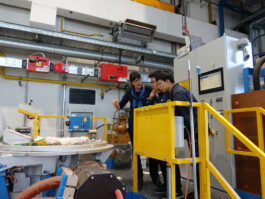 DCG Halle gGmbH International Institute