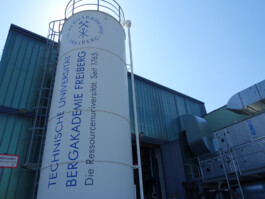 DCG Halle gGmbH International Institute