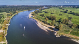 DCG Halle gGmbH International Institute