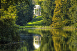 DCG Halle gGmbH International Institute