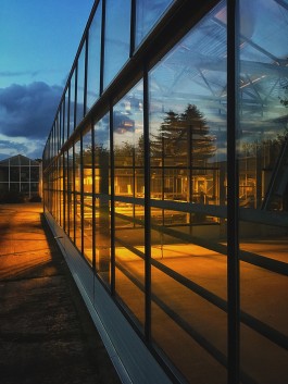 DCG Halle gGmbH International Institute