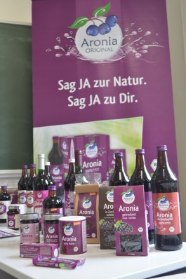 DCG Halle gGmbH International Institute