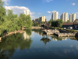 DCG Halle gGmbH International Institute