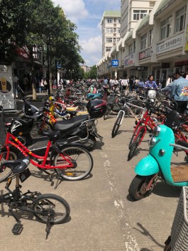 DCG Halle gGmbH International Institute