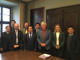 DCG Halle gGmbH International Institute