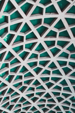 DCG Halle gGmbH International Institute