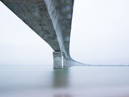 DCG Halle gGmbH International Institute