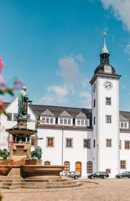 DCG Halle gGmbH International Institute