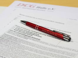DCG Halle gGmbH International Institute