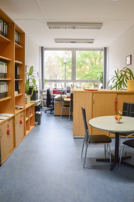 DCG Halle gGmbH International Institute