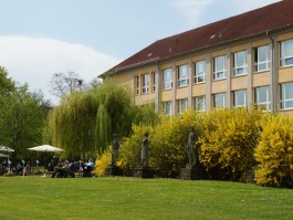DCG Halle gGmbH International Institute