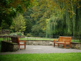 DCG Halle gGmbH International Institute