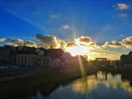 DCG Halle gGmbH International Institute