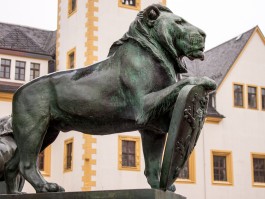 DCG Halle gGmbH International Institute