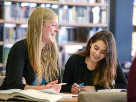 DCG Halle gGmbH International Institute