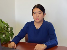 DCG Halle gGmbH International Institute