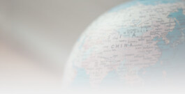 DCG Halle gGmbH International Institute