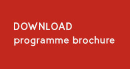 DCG Halle gGmbH International Institute